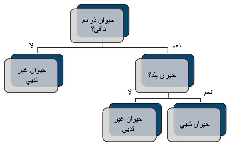 الشكل 21.33 شجرة قرارات توضح نتيجة سلسلة من أسئلة القرار يُجاب عليها بنعم/لا ولا تستخدم للوصول إلى التصنيف
