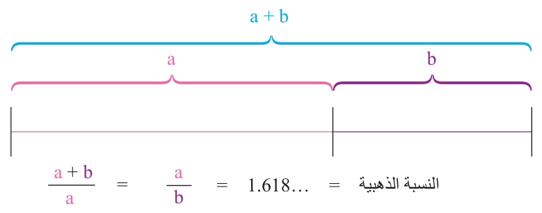 الشكل 6.2 النسبة الذهبية