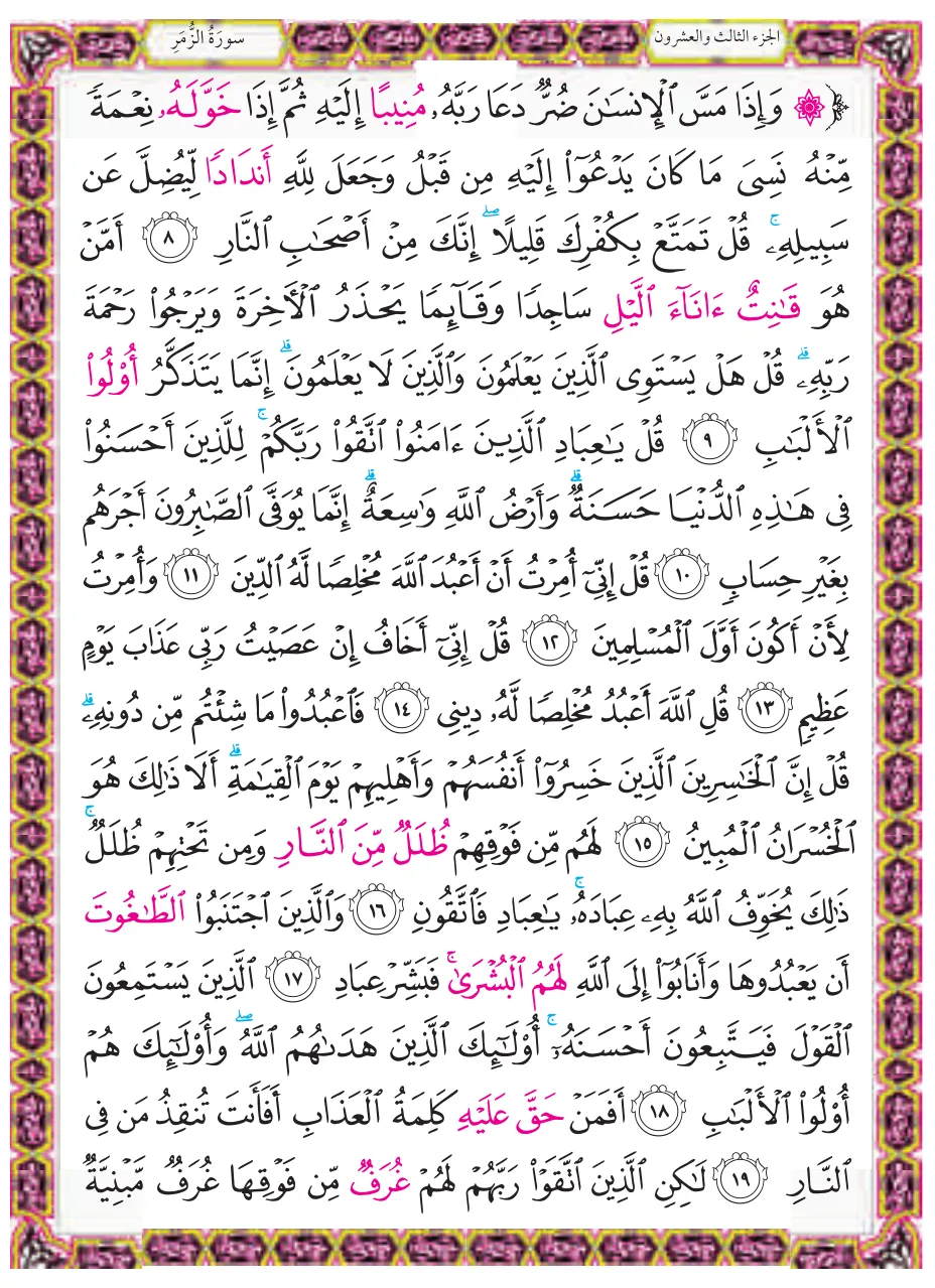 الآيات ٨-١٩ من سورة الزمر