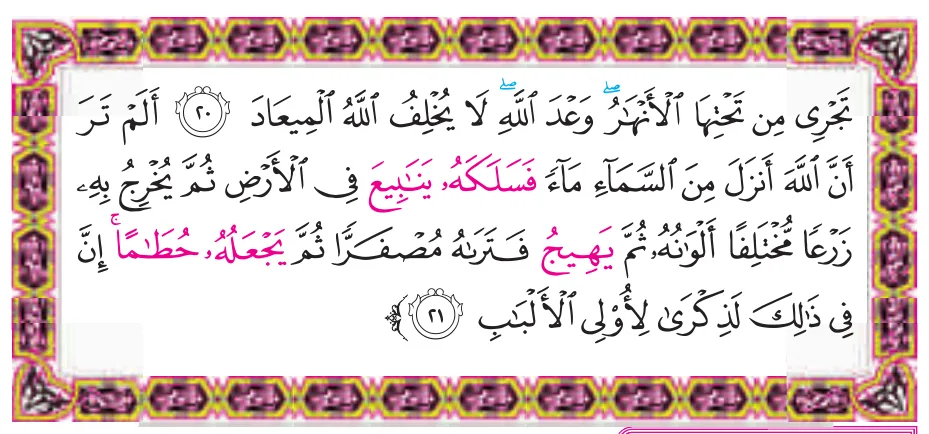 الآيات ٢٠-٢١ من سورة الزمر