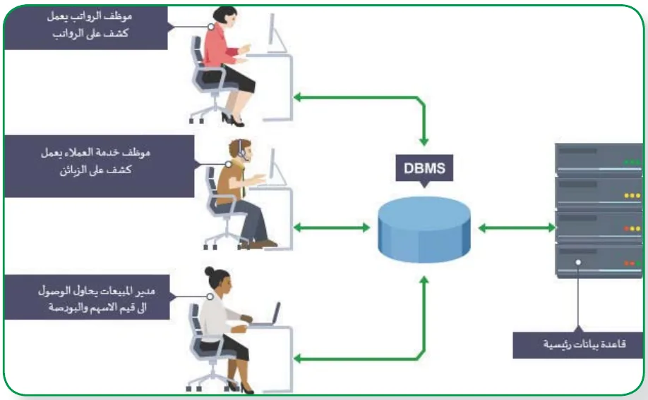 نظم إدارة قواعد البيانات (DBMS)