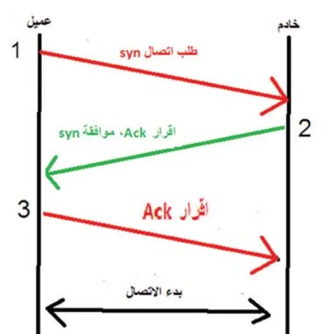 الشكل (1)