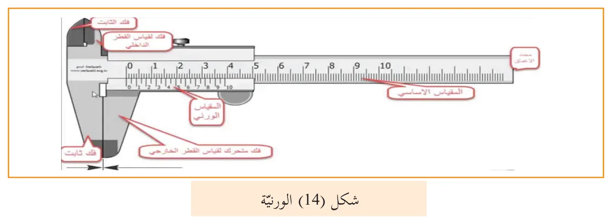 شكل (14) الورنية