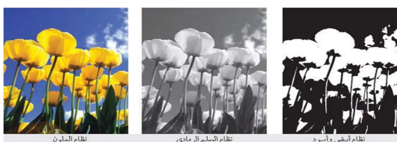 نظام الأبيض والأسود، نظام السلم الرمادي، النظام الملون