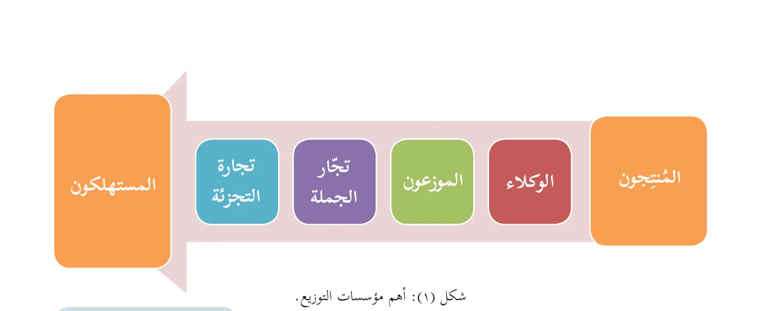 شكل (١): أهم مؤسسات التوزيع