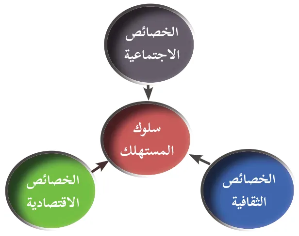 شكل (٢): بيئة سلوك المستهلك.