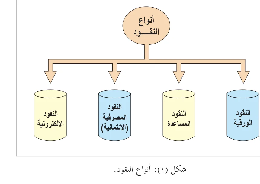 شكل (١): أنواع النقود.