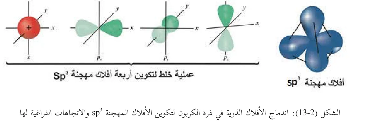 الشكل (13-2): اندماج الأفلاك الذرية في ذرة الكربون لتكوين الأفلاك المهجنة sp³ والاتجاهات الفراغية لها