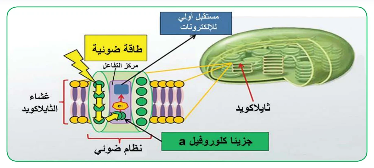 الشكل (5): تركيب النظام الضوئي