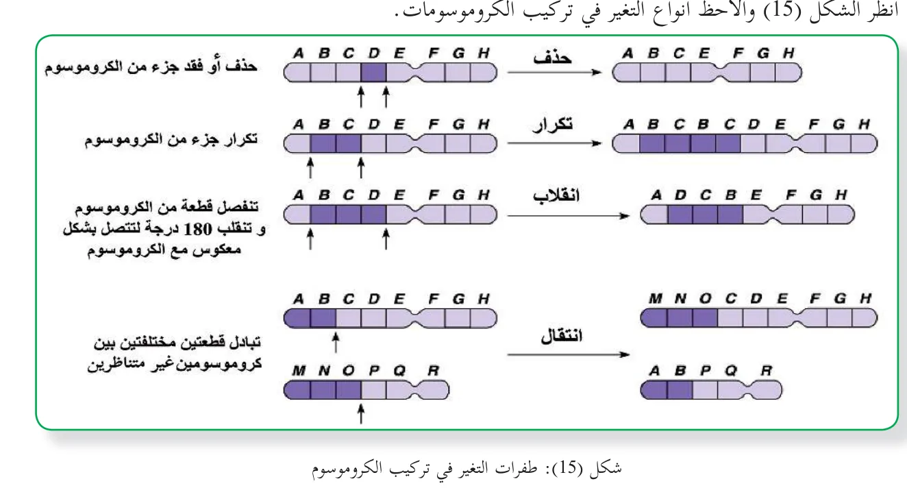 الشكل (15): طفرات التغير في تركيب الكروموسوم