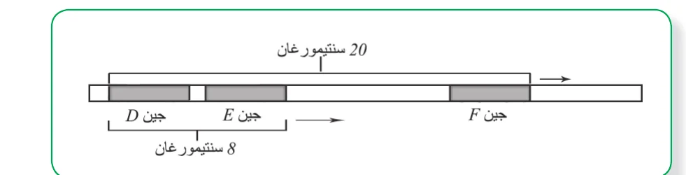 **السؤال الثامن عشر:** الذكور المصابون بالأمراض الوراثية المرتبطة بالجنس والقاتلة، يتم التعبير عن هذه الصفة في الذكور قبل بلوغ سن النضوج الجنسي. ما مصدر هذه الجينات القاتلة؟ وكيف يتم توارثها؟ **السؤال التاسع عشر:** تم علاج طفل يعاني من مرض سكيد بحقنه بخلايا جذعية معدلة وراثياً، حيث يظهر المخطط المجاور عدد خلايا الدم البيضاء النشطة في دم الطفل خلال عام بعد العلاج مع العلم بأن عدد خلايا الدم البيضاء في دم الأطفال الطبيعيين يتراوح بين 5000 - 8000 خلية/ملم3 من الدم. هل نجح علاج الطفل؟ أفسر الإجابة. :::figure /images/notes/ps-g12-biology-u2-t3/fig-80aab1d3-p091-31.webp **السؤال العشرون:** ولدت حنان بستة أصابع على كل قدم، تسمى هذه الحالة تعدد الأصابع (Polydactyly) وهي تورث بصورة سائدة، وكان اثنين من أخوة حنان الخمسة لديهم ستة أصابع ولدى والدتها أيضاً ستة أصابع، أما والدها فيمتلك العدد الطبيعي من الأصابع. فسر على أسس وراثية مستخدماً الرموز D و d. **السؤال الواحد والعشرون:** أقيم ذاتي: أقرأ كلاً من العبارات الآتية ثم أضع الإشارة (✓) في المكان المناسب: | الرقم | العبارة | دائماً | أحياناً | نادراً | |---|---|---|---|---| | 1 | أستخدم قانوني مندل في حل المسائل الوراثية. | | | | | 2 | أميز بين آلية توارث الصفات المندلية وغير المندلية. | | | | | 3 | أربط بين علم الوراثة والرياضيات. | | | | | 4 | أتعرف إلى التطبيقات العملية في علم الوراثة. | | | | | 5 | أتعرف إلى الأمراض الوراثية الأكثر شيوعاً في فلسطين. | | | | | 6 | أصمم نموذج DNA يشبه نموذج واطسون وكريك باستخدام خامات البيئة. | | | |