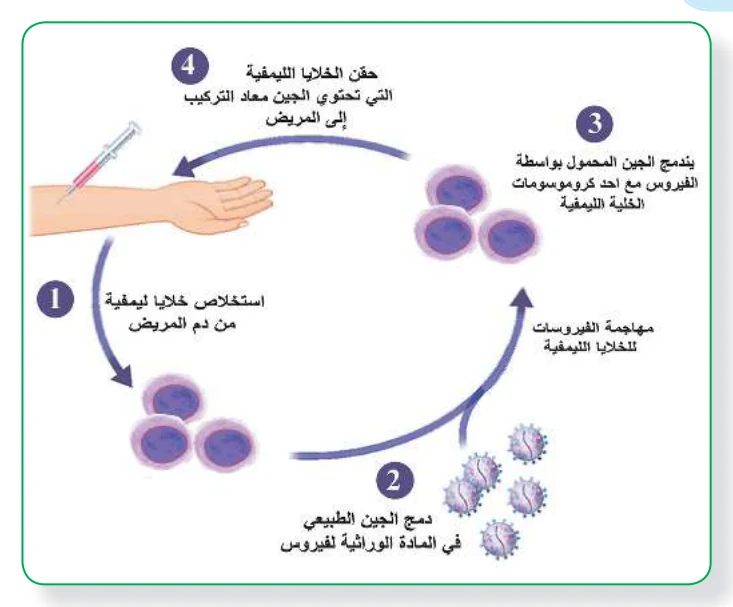 الشكل (7): مخطط لإحدى التقنيات المستخدمة في العلاج الجيني