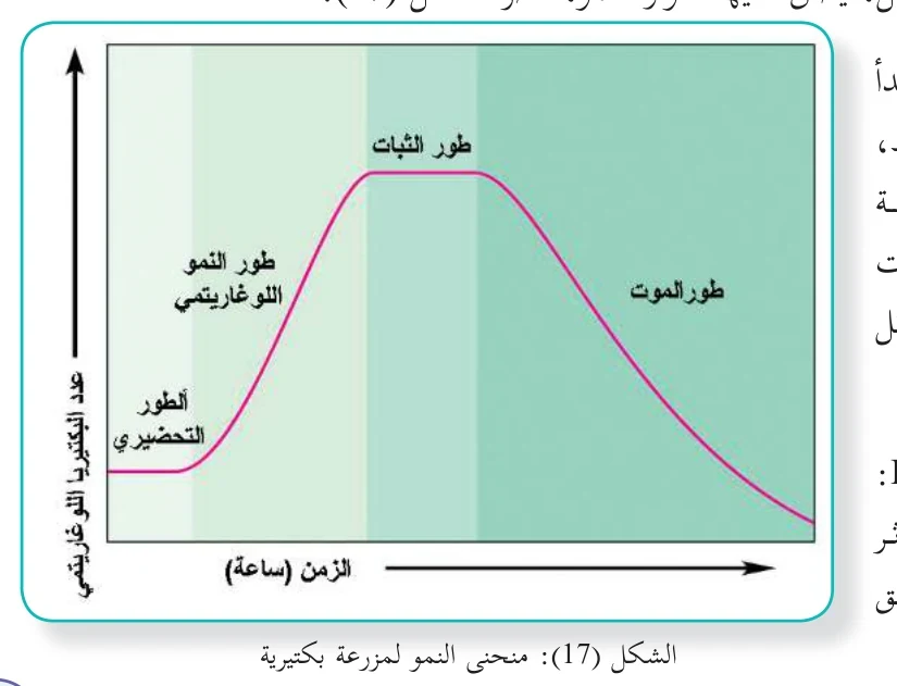 الشكل (17): منحنى النمو لمزرعة بكتيرية