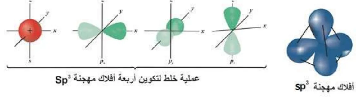 الشكل (2-13): اندماج الأفلاك الذرية في ذرة الكربون لتكوين الأفلاك المهجنة sp³ والاتجاهات الفراغية لها