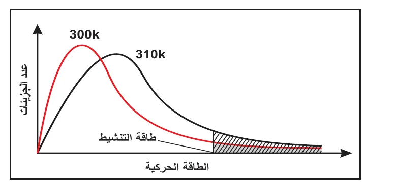 الشكل (4-9): توزيع الطاقة الحركية على الجزيئات عند درجتي 300 كلفن و 310 كلفن