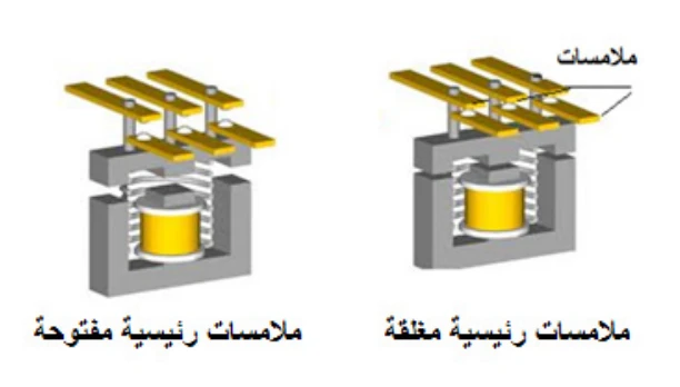 الشكل (2)