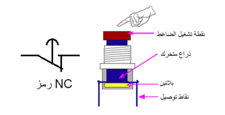 الشكل (10)