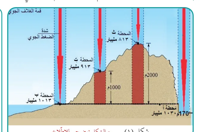 شكل (١)