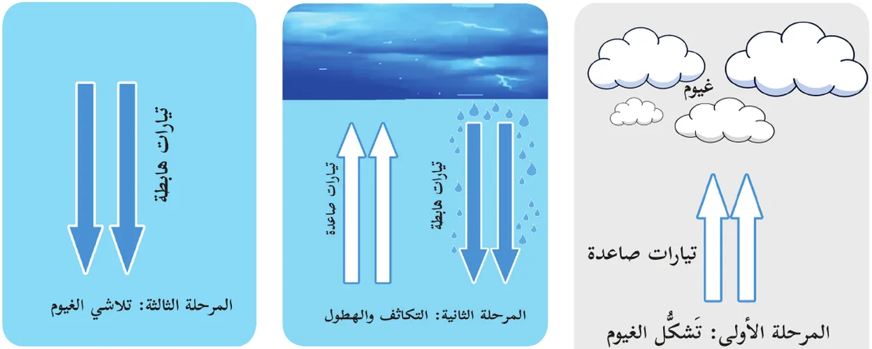 أشكال مراحل تشكل العاصفة الرعدية رسم مع تعيين محتواها