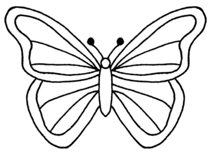 Butterfly outline