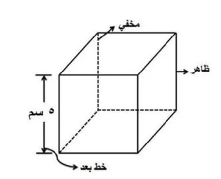 الشكل (١)