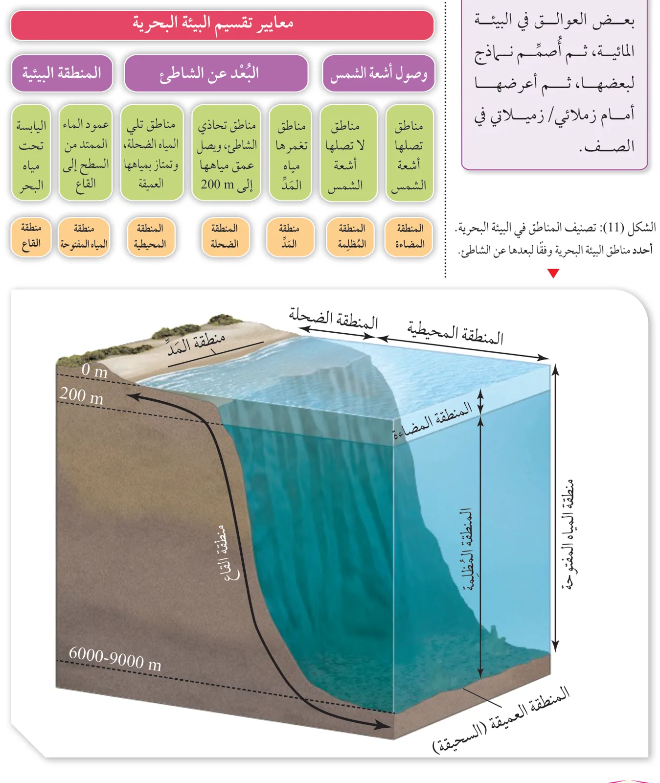 الشكل (11): تصنيف المناطق في البيئة البحرية