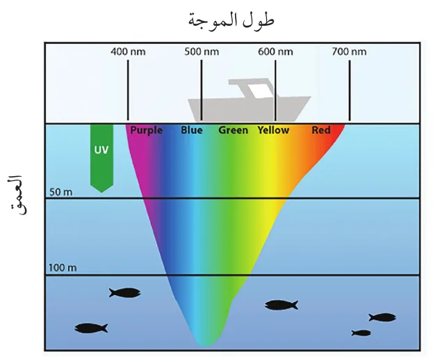 رسم بياني يوضح اختراق أطوال موجية مختلفة للضوء في أعماق البحر