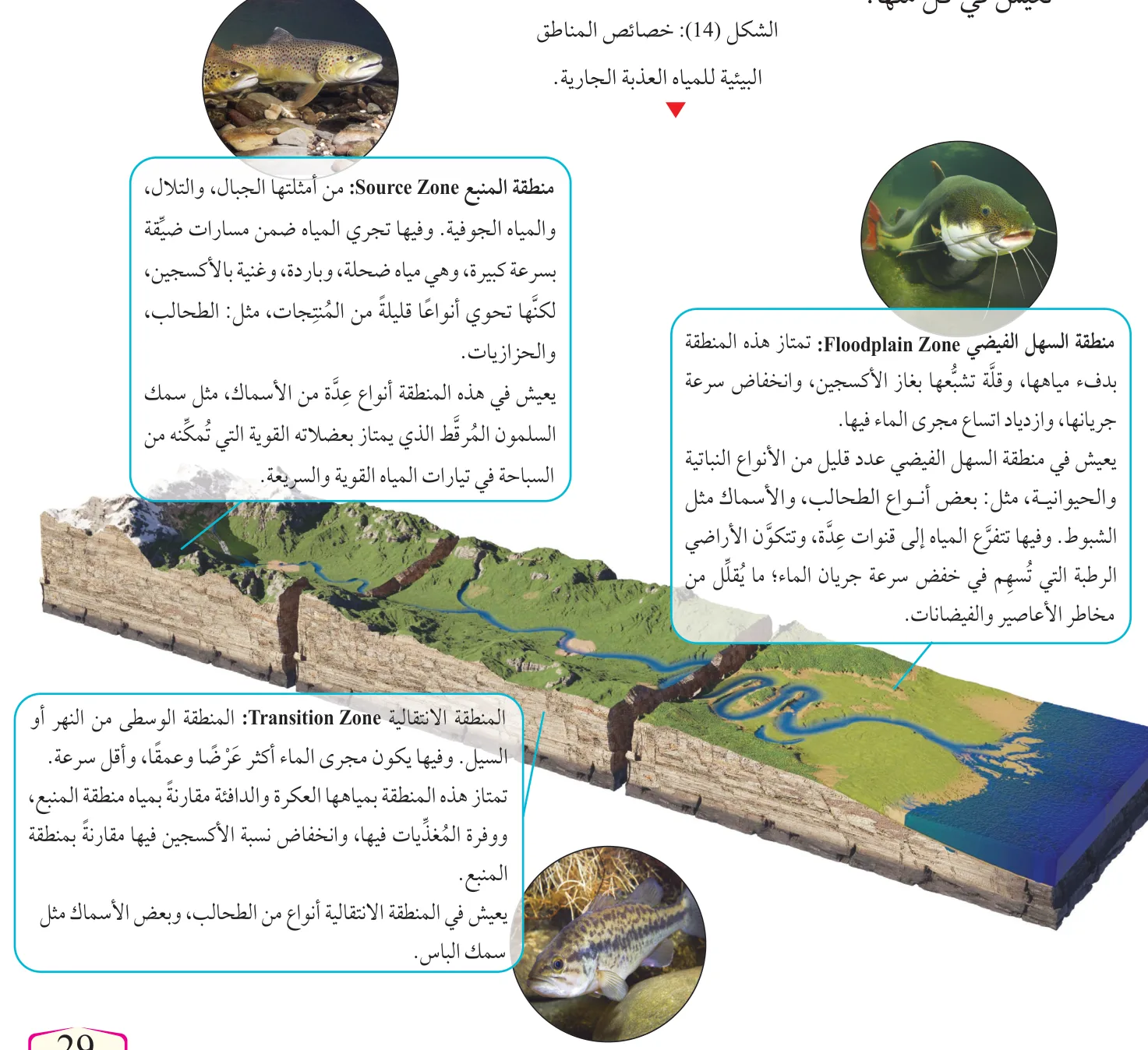 الشكل (14): خصائص المناطق البيئية للمياه العذبة الجارية