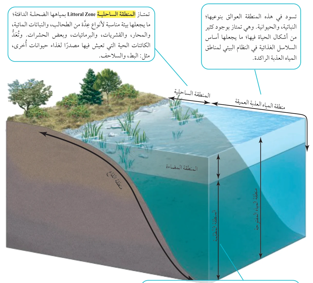 الشكل (15): خصائص النظام البيئي لمناطق المياه العذبة الراكدة