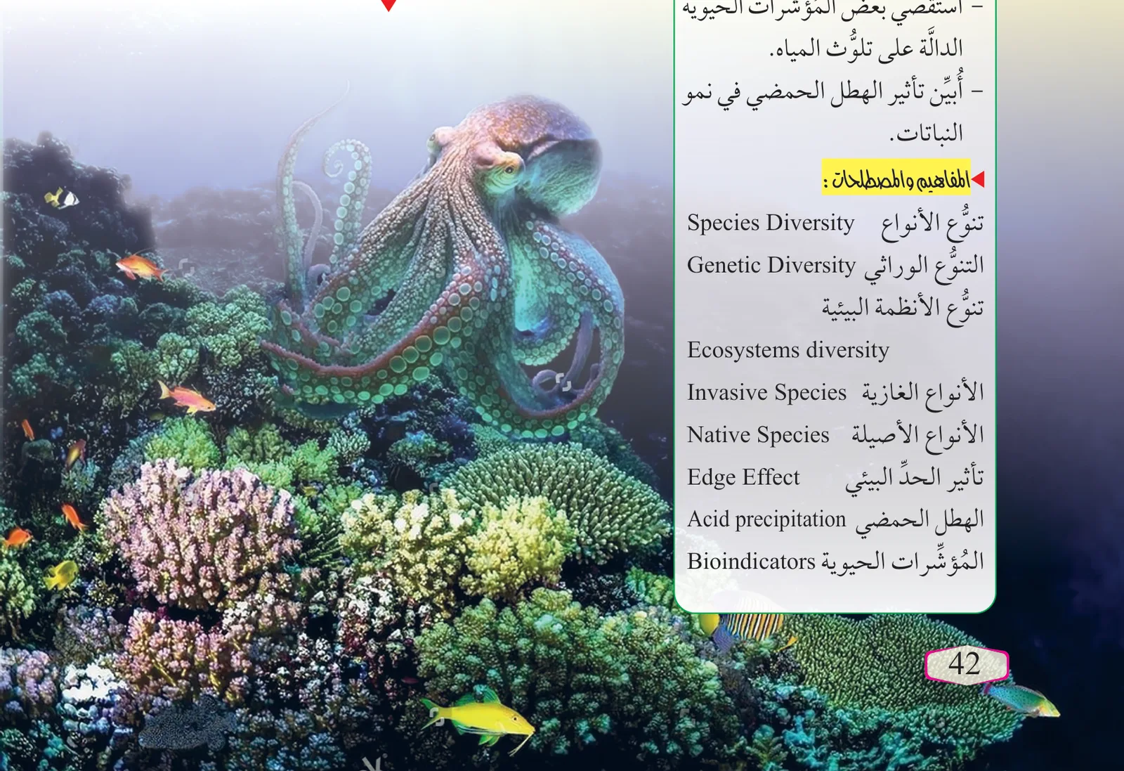 الشكل (1): تنوُّع حيوي في نظام بيئي.