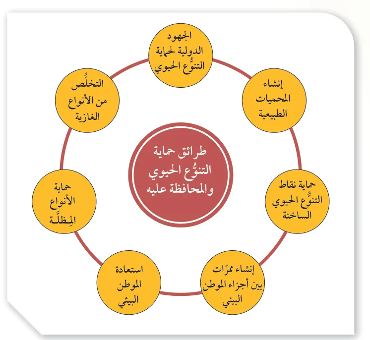 الشكل (25): بعض طرائق المحافظة على التنوّع الحيوي في الأنظمة البيئية.