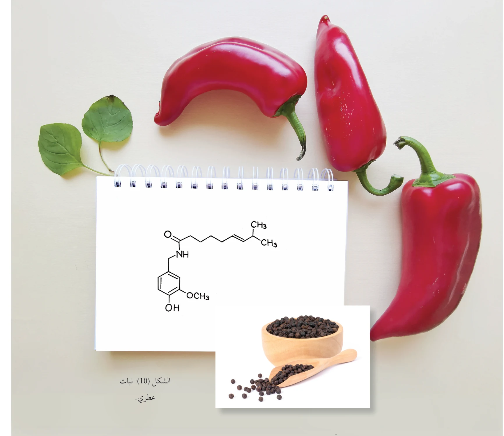 الشكل (10): نبات عطري.