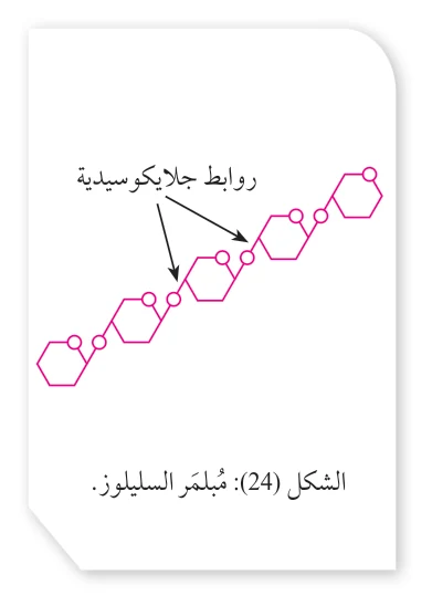 الشكل (24): مُبلمر السليلوز.