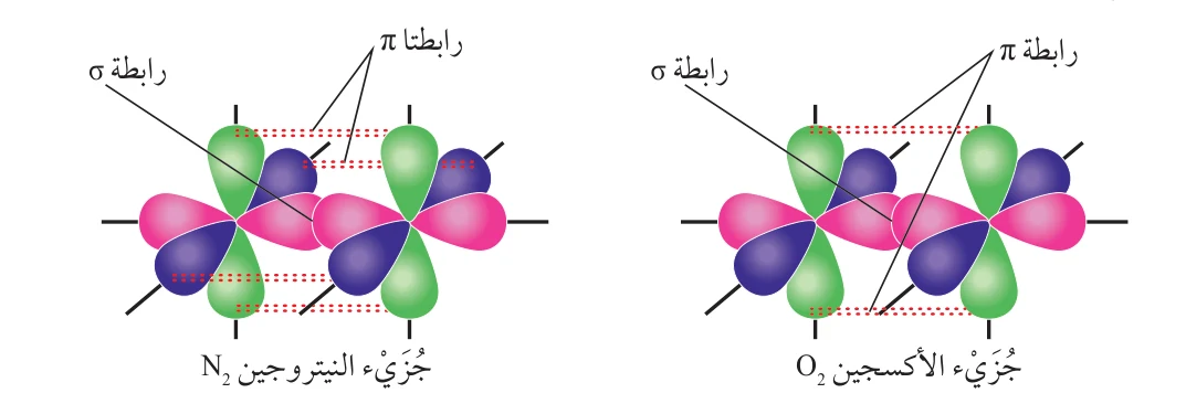 رابطة π رابطة σ رابطة π رابطة σ جزيء الأكسجين O₂ جزيء النيتروجين N₂ الشكل (19): الروابط سيجما وباي في جزيئي الأكسجين O₂ والنيتروجين N₂.