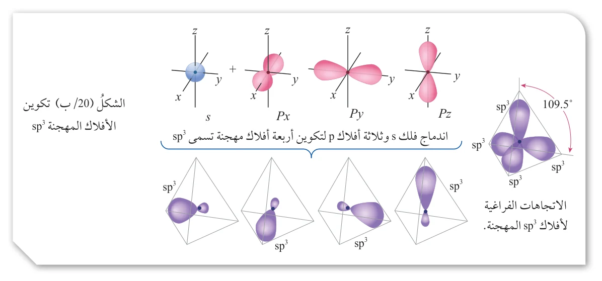 x y z s x y z Px Py Pz اندماج فلك s وثلاثة أفلاك p لتكوين أربعة أفلاك مهجنة تسمى sp3 sp3 sp3 sp3 sp3 sp3 sp3 الاتجاهات الفراغية لأفلاك sp3 المهجنة. الشكل (20/ ب) تكوين الأفلاك المهجنة sp3