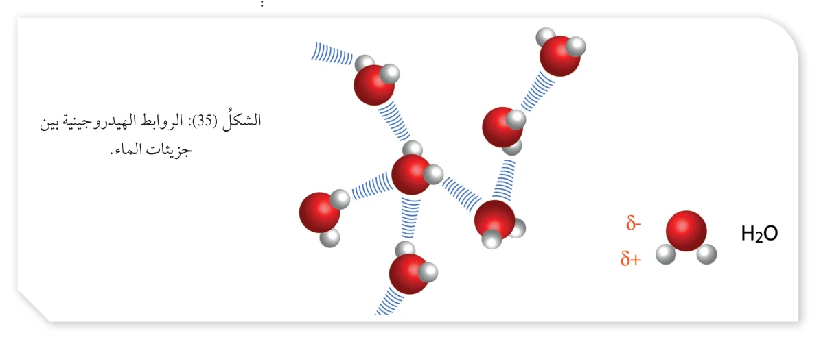 δ- δ+ H₂O الشكل (35): الروابط الهيدروجينية بين جزيئات الماء.