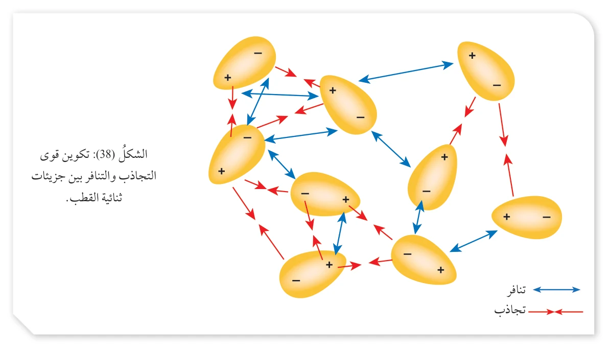 الشكل (38): تكوين قوى التجاذب والتنافر بين جزيئات ثنائية القطب.