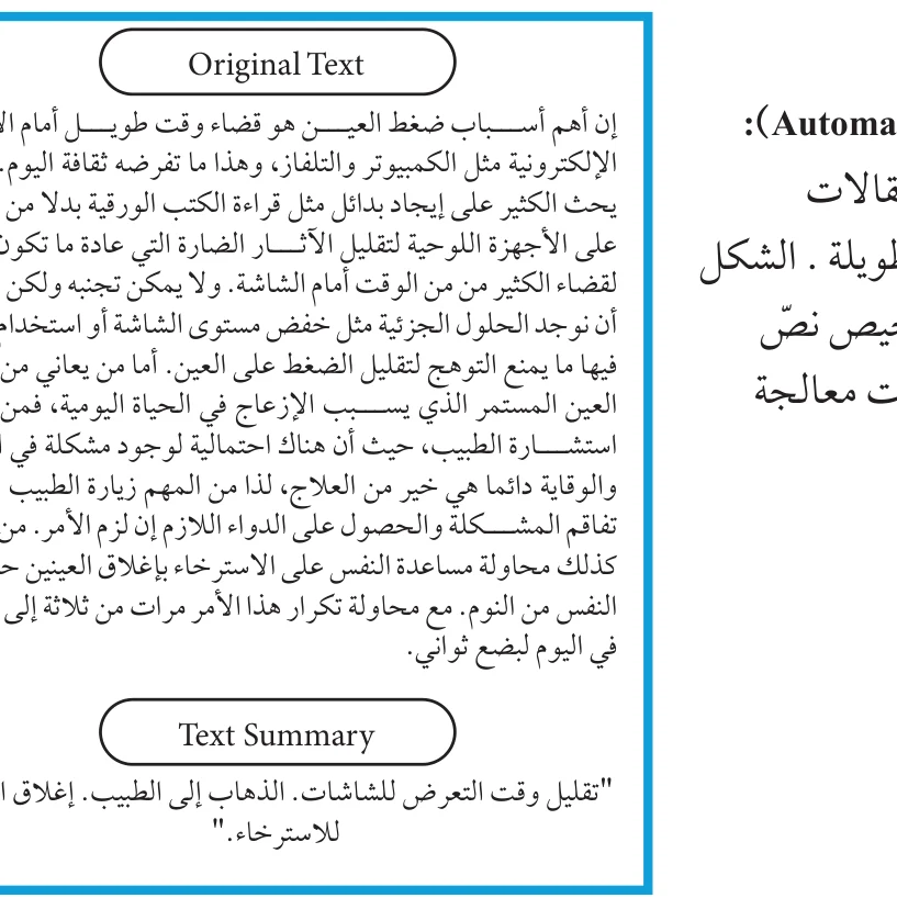 الشكل (3-5): مثال على التلخيص التلقائي
