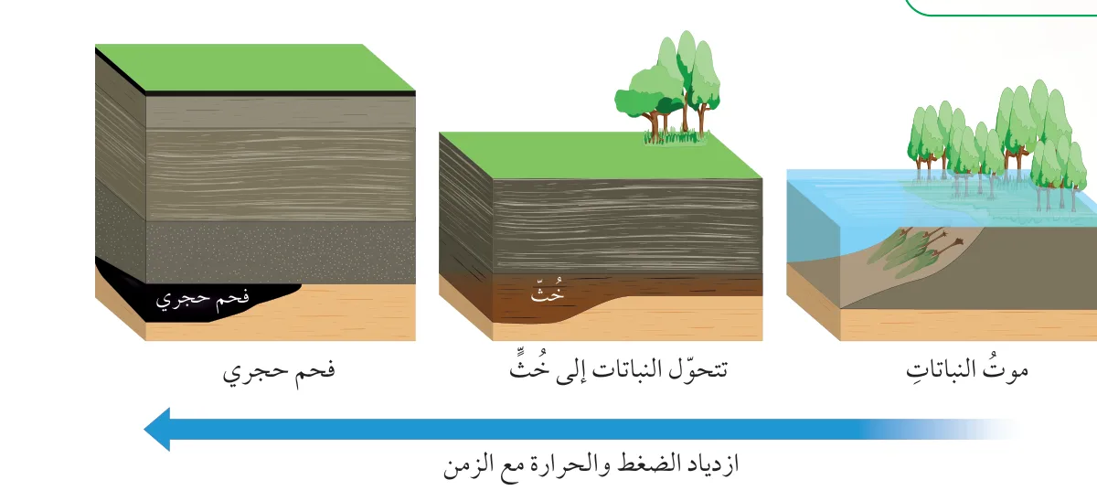 الشكل (1): يؤدي موت النباتات ودفنها تحت طبقات قشرة الأرض إلى تشكُّل الفحم الحجري، ثم يُستخرَج ويُستخدم لإنتاج الطاقة: (موت النباتات) ← (تتحول النباتات إلى خُث) ← (فحم حجري)، مع ازدياد الضغط والحرارة مع الزمن.