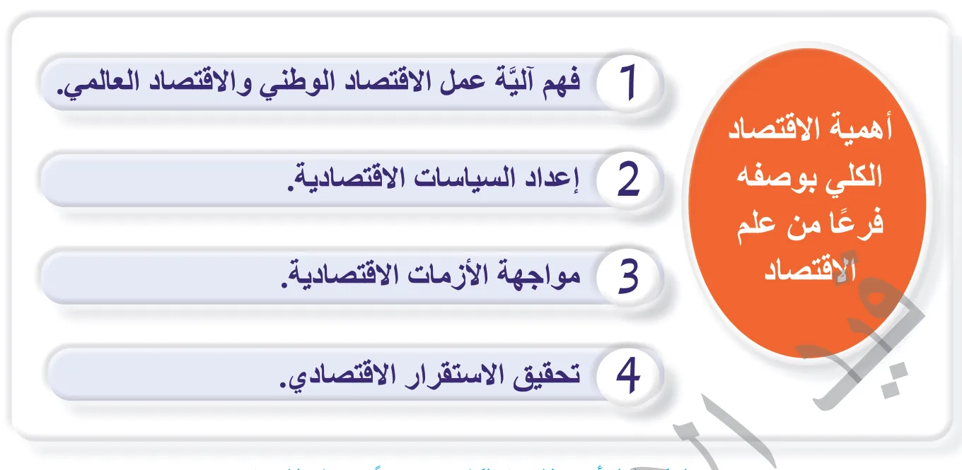 الشكل (1): أهمية الاقتصاد الكلي بوصفه فرعًا من علم الاقتصاد.
