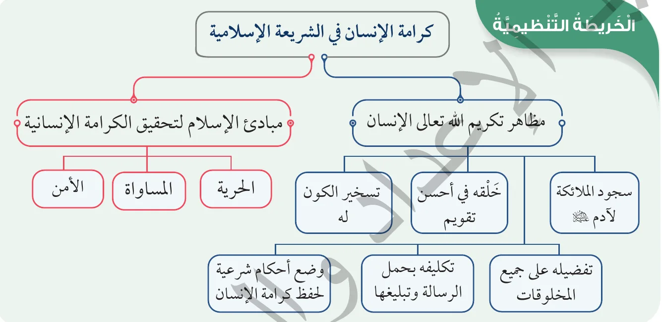 الخريطة التنظيمية