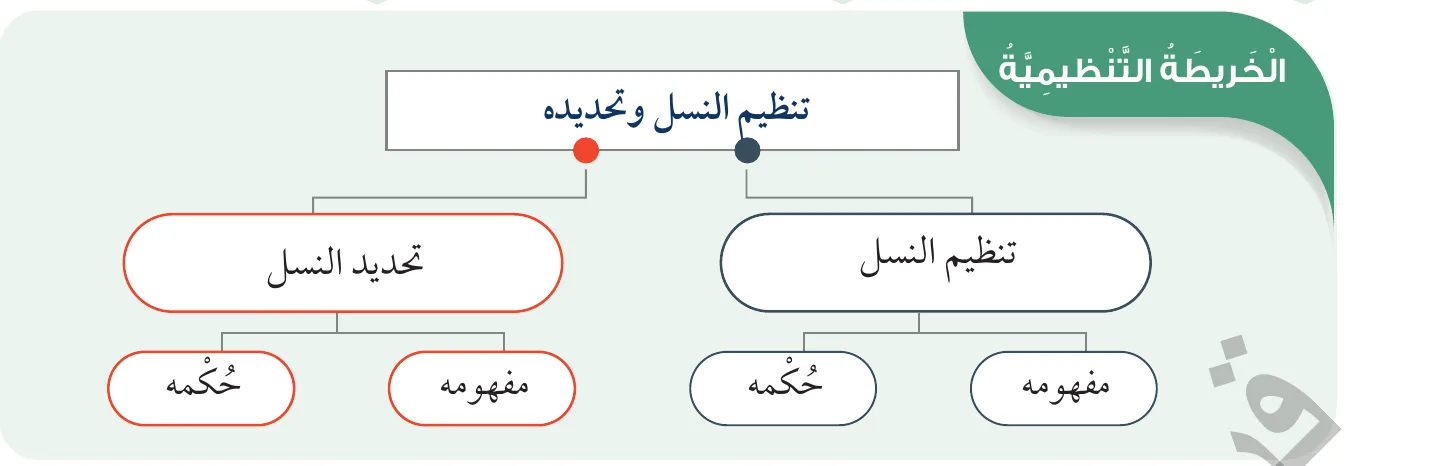 الخريطة التنظيمية