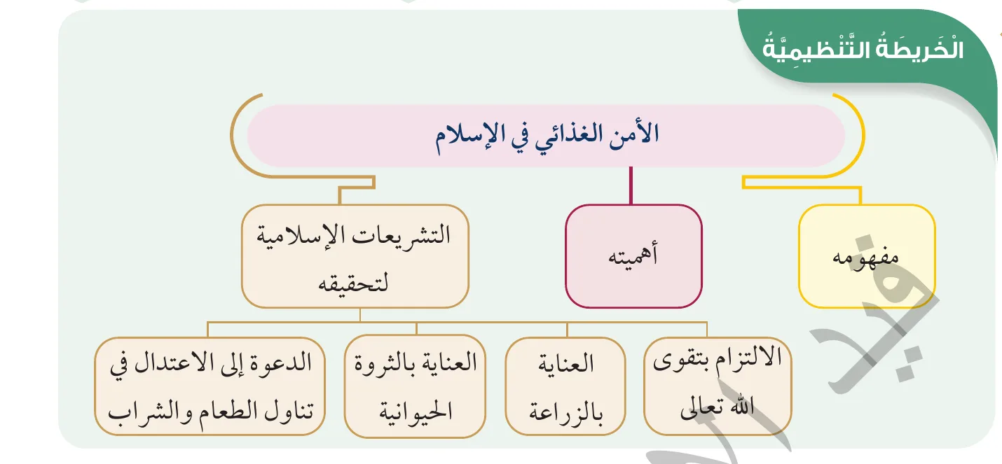 الخريطة التنظيمية