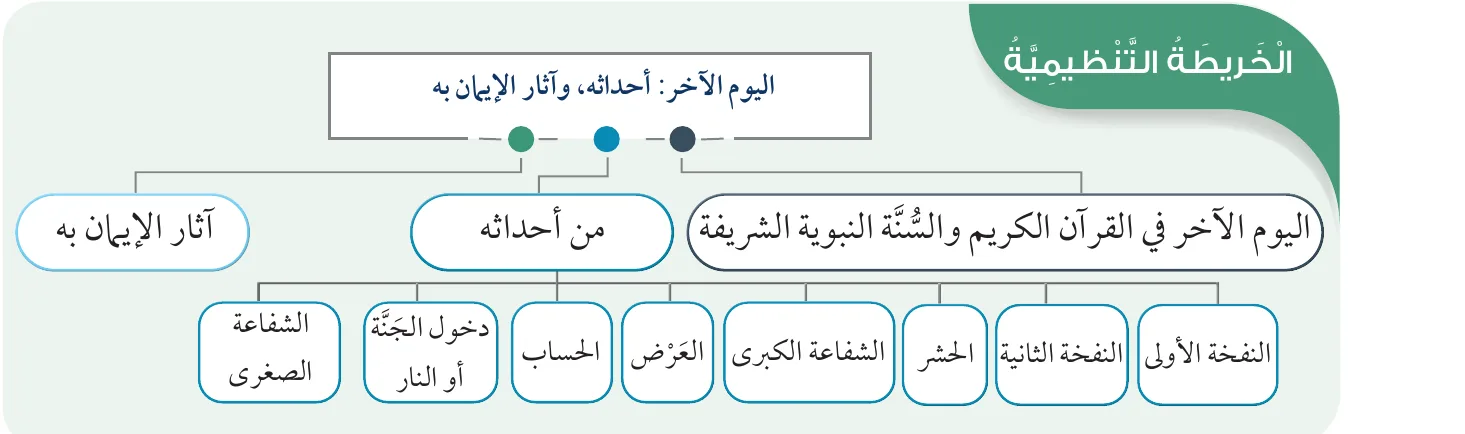 الخريطة التنظيمية