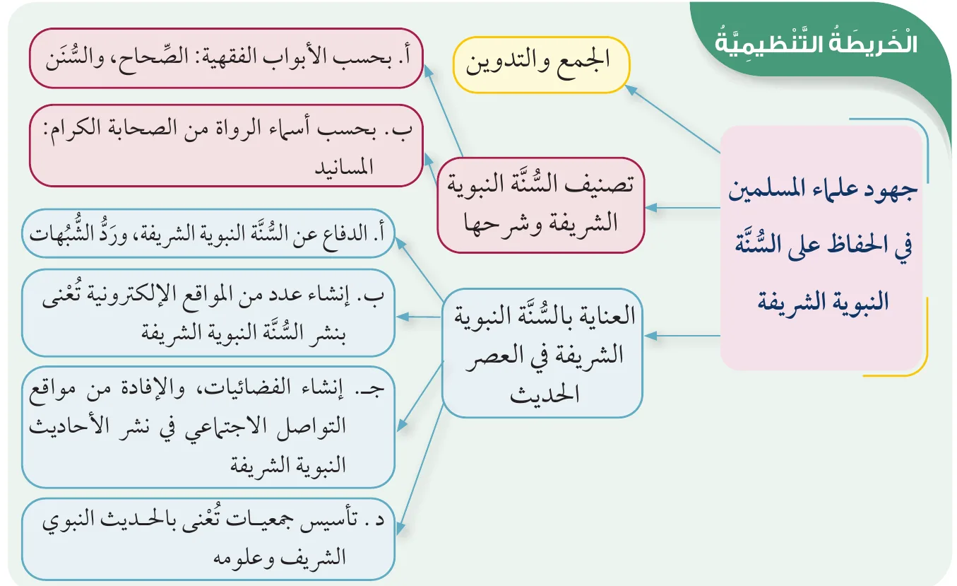 الخريطة التنظيمية