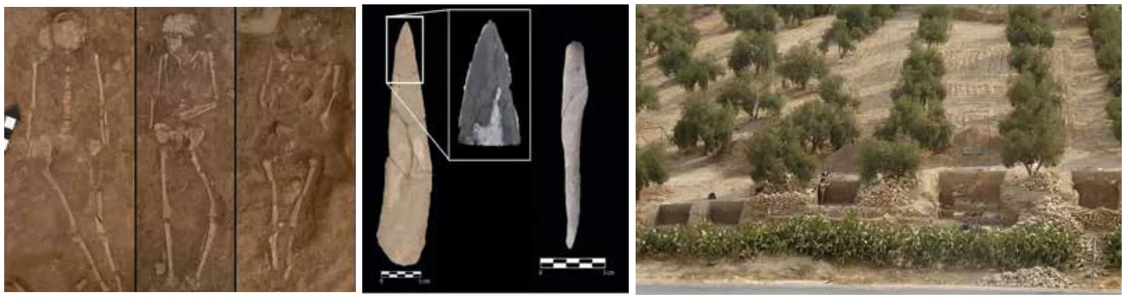 الصورة (2): موقع عيون الحمام الأثري وبعض اللقى (الأدوات والبقايا) الأثرية