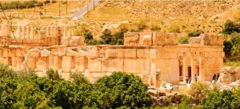 قصر عراق الأمير