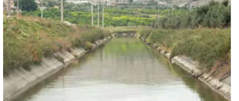 الصورة 4: قناة الغور الشرقية (قناة الملك عبد الله) في الأغوار الأردنية