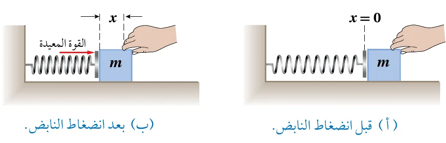 الشكل (23): نظام (كتلة - نابض). (أ) قبل انضغاط النابض. (ب) بعد انضغاط النابض.