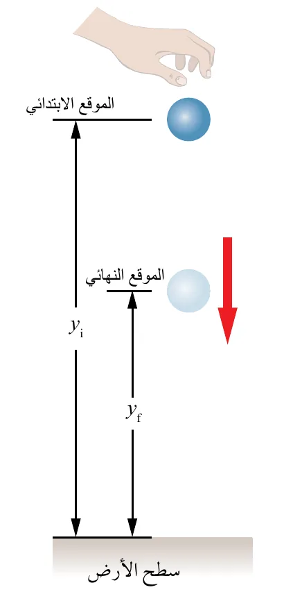 الشكل (29): إسقاط كرة من الموقع (y_i) بالنسبة إلى سطح الأرض. ما الطاقة الميكانيكية للكرة عند الموقع (y_f)؟ وما طاقتها الميكانيكية مباشرة قبل ملامستها سطح الأرض؟